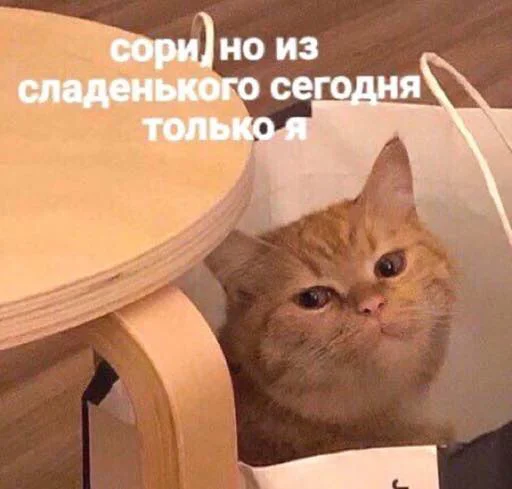 уарзты зарӕг уарзты зарӕг -