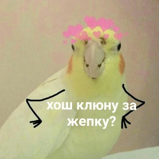 жызнъ жызнъ -