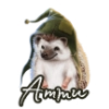 Ёжик Атти Ёжик Атти -