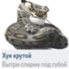 Хуи Хуи -