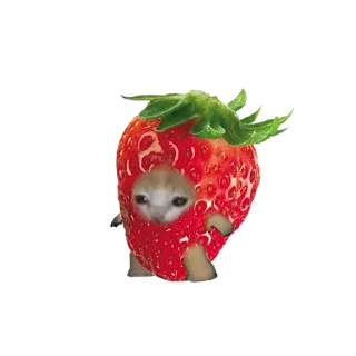 Sticker @AniPackBot استیکرساز😍 - 3