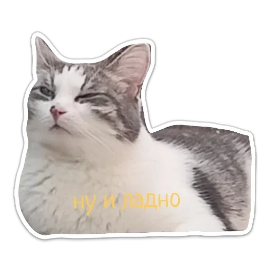 Кекс Кекс -
