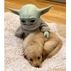 baby yoda baby yoda -