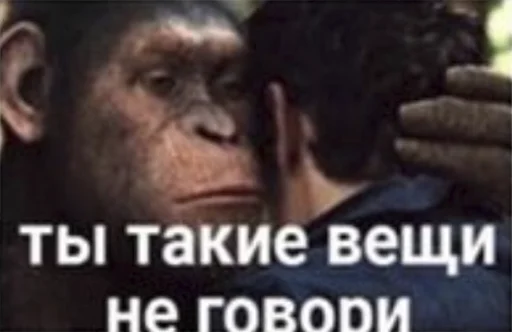 🗿 🗿 -