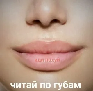 Sticker стикеры для бичес - 4 Sticker стикеры для бичес - 4