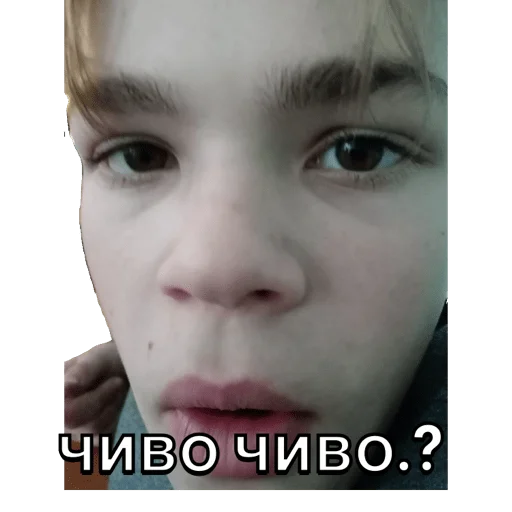 Стикер чебус - 6 Стикер чебус - 6
