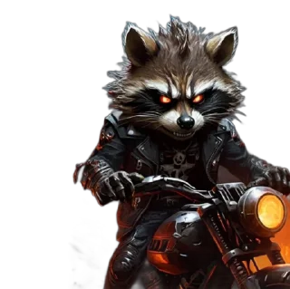 Стикер Єнот🦝 - 3