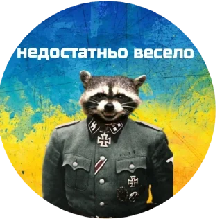 Стикер Єнот🦝 - 8