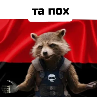 Стикер Єнот🦝 - 4