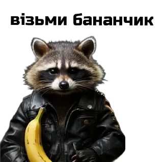 Стикер Єнот🦝 - 1