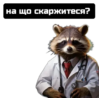 Стикер Єнот🦝 - 0