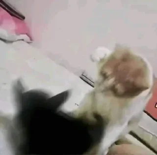 Стикер Больше стиков тут: @stikery4 - 4