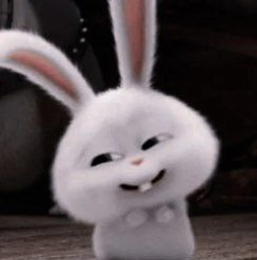 bunnystikr:@kpop_stikers :: @fStikBot bunnystikr:@kpop_stikers :: @fStikBot -
