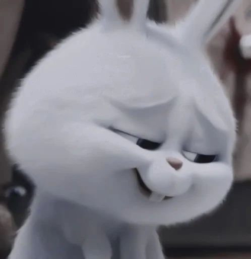 bunny bunny animal mammal