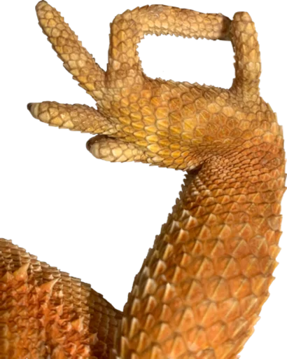 reptile reptile art
