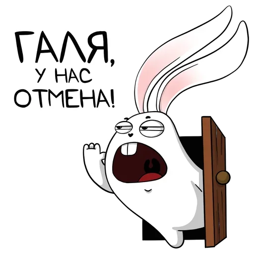 Белый кролик Белый кролик -
