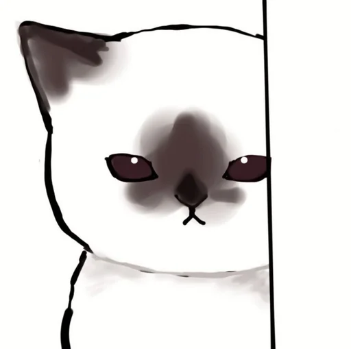 cat sketch art