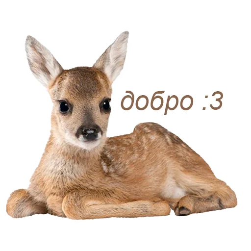 добрый пак от @betwaal добрый пак от @betwaal -