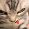 @bibibabubebe @bibibabubebe -