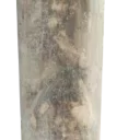 Sticker BIG ASS JOINT - 4