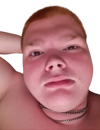 Большой бык Большой бык -