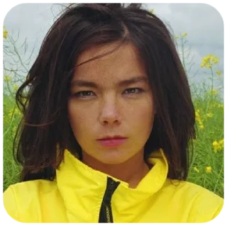 Sticker Björk jerk - 3