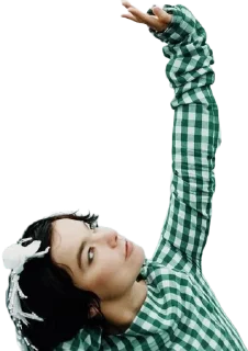 Sticker Björk jerk - 10