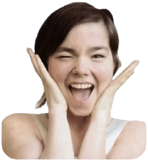 Sticker Björk jerk - 5