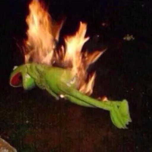 kermit kermit -