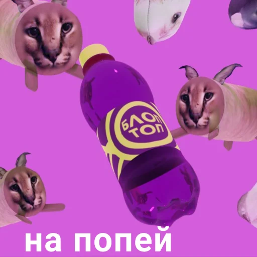 Блоптоп набор