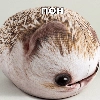 ЖМЫХ ЖМЫХ -