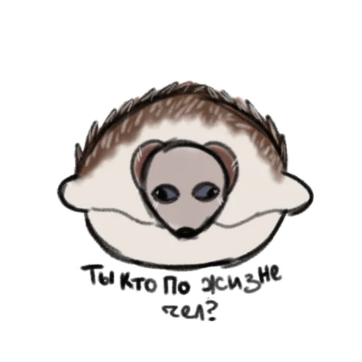БЛОПТОП:) БЛОПТОП:) -