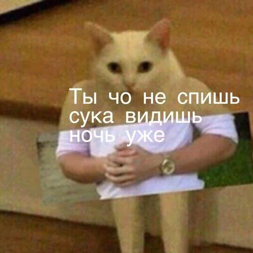 завод баянов @motoyasu_suko завод баянов @motoyasu_suko - человеческое лицо