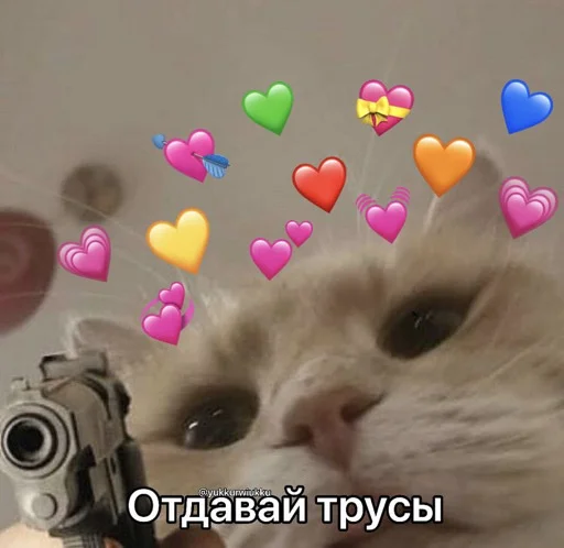 blyatd blyatd -