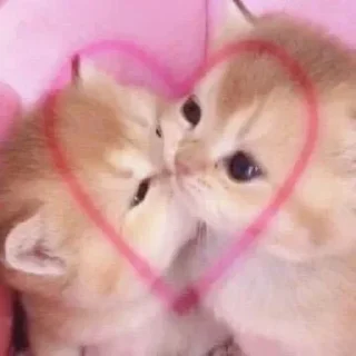 Стикер Создай свои стикеры - @sozdsti_bot - 7 Стикер Создай свои стикеры - @sozdsti_bot - 7
