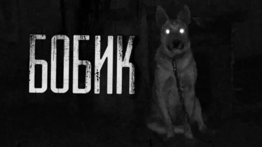 БОБИК... @amare_shit БОБИК... @amare_shit -