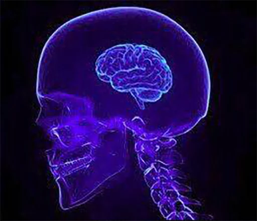 expanding brain meme expanding brain meme - искусство