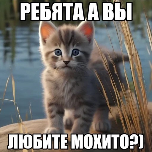 брекоткин #скуфизирован👌 брекоткин #скуфизирован👌 -