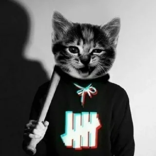 Sticker брекоткин #скуфизирован👌 - 8