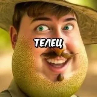 Sticker брекоткин #скуфизирован👌 - 7