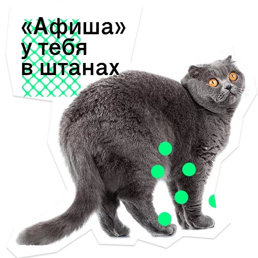 Брильянтик Daily И его друзья Брильянтик Daily И его друзья -