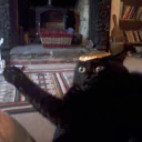 Broken Cats 2 Broken Cats 2 - animal