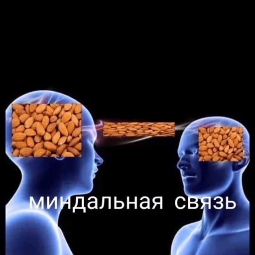 Curators🤍 Curators🤍 -