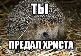 Стикер bukkake - 7