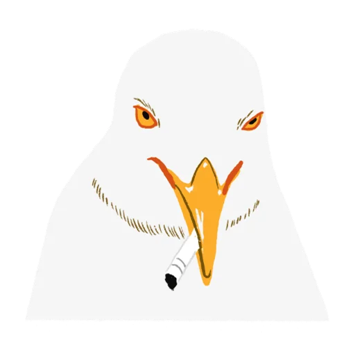 animal bird beak