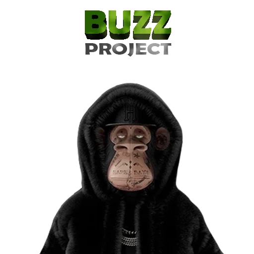 BuzzProject Official BuzzProject Official -