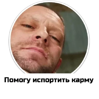 Стикер Чат приюта - 4 Стикер Чат приюта - 4