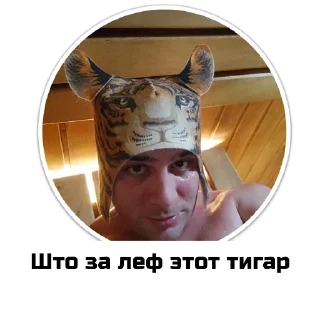 Стикер Чат приюта - 6 Стикер Чат приюта - 6
