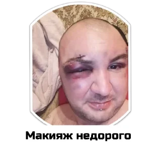 Стикер Чат приюта - 10 Стикер Чат приюта - 10