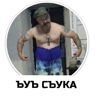 Стикер Чат приюта - 5 Стикер Чат приюта - 5